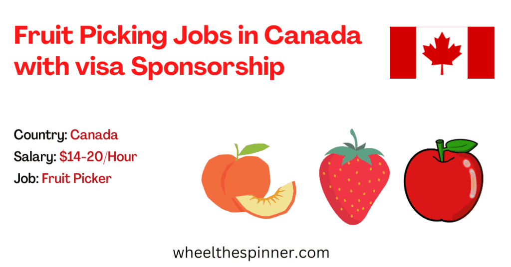 Fruit Picking Jobs in Canada with visa Sponsorship 2024