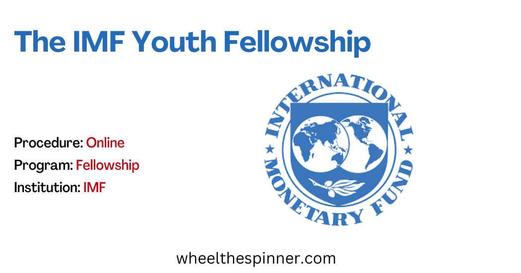 The IMF Youth Fellowship