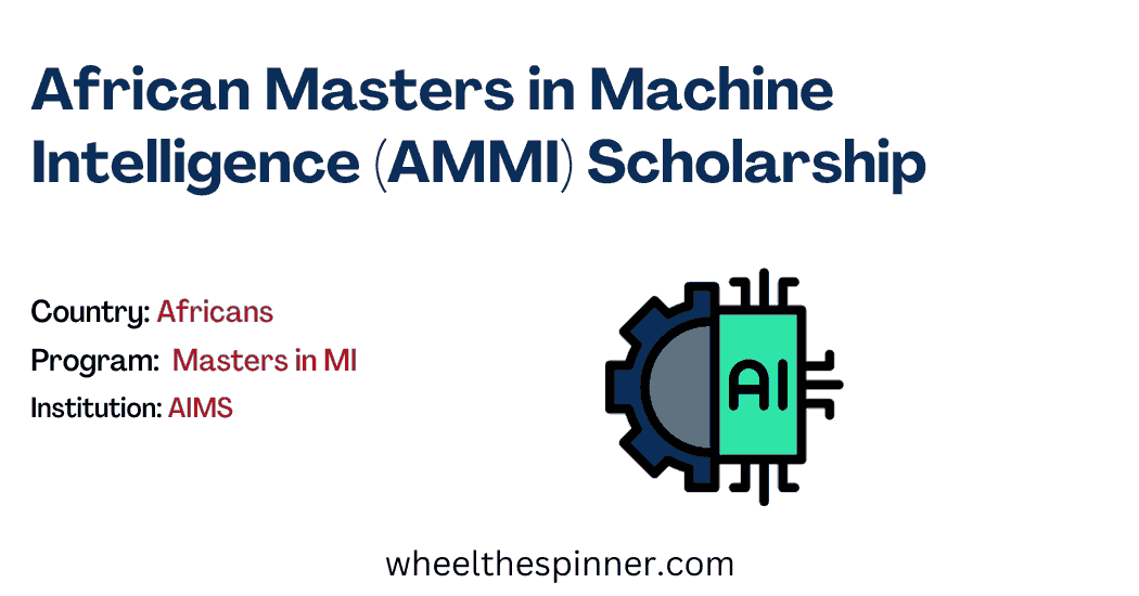 African Masters in Machine Intelligence (AMMI)